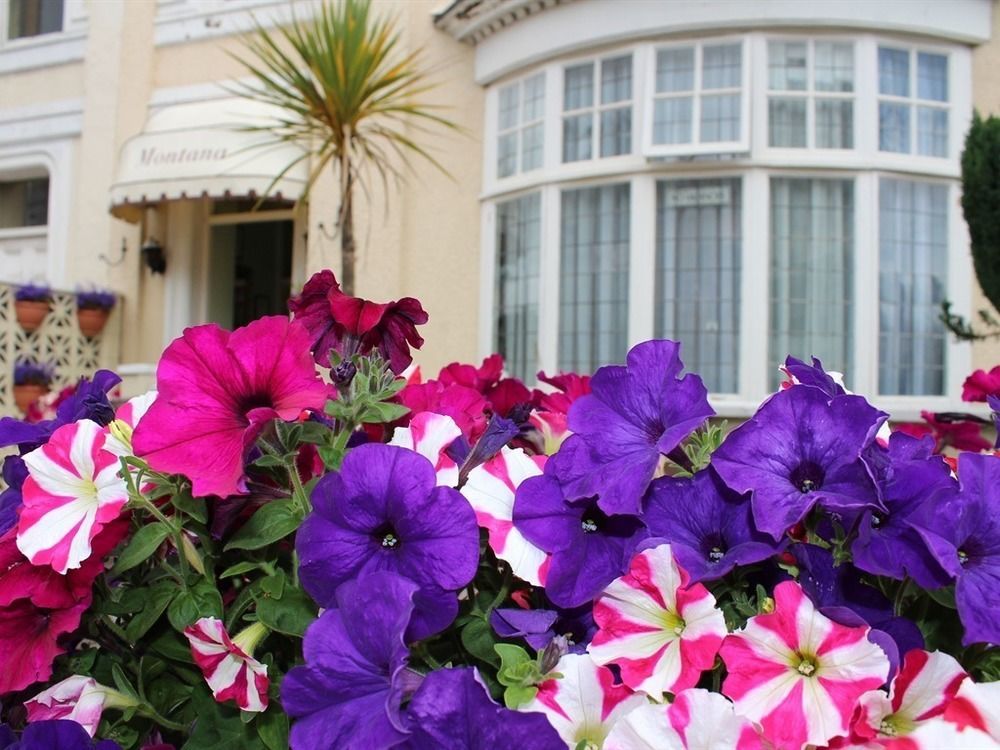 The Montana Bed & Breakfast Torquay Exterior photo